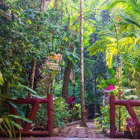 Maitreya Beach Resort Diveāgar Eksteriør billede