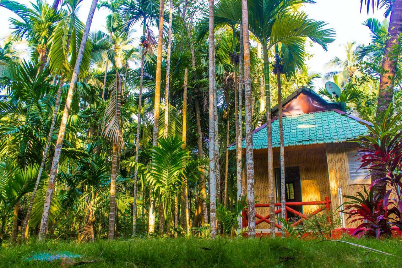 Maitreya Beach Resort Diveāgar Eksteriør billede