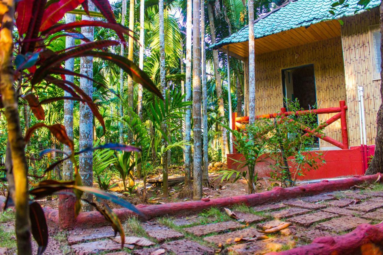 Maitreya Beach Resort Diveāgar Eksteriør billede