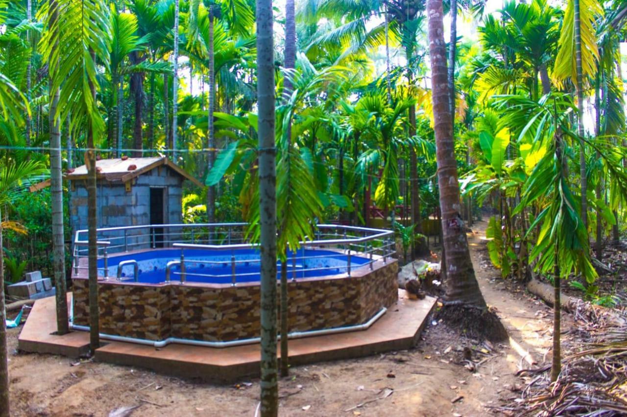 Maitreya Beach Resort Diveāgar Eksteriør billede
